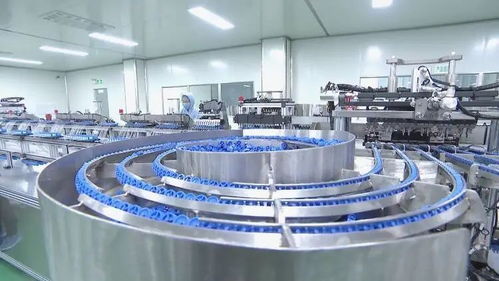 內(nèi)培外引打造高質(zhì)量產(chǎn)業(yè)體系 助推成武縣域經(jīng)濟高質(zhì)量發(fā)展