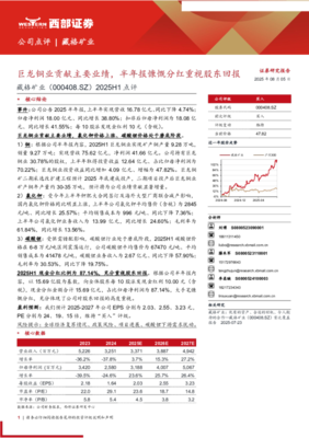 2025年上半年業績點評 巨龍銅業成核心引擎，半年報高分紅彰顯股東回報決心