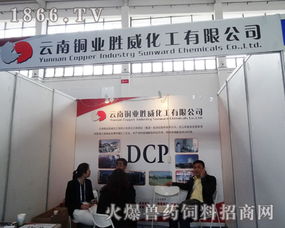 跨界融合 云南銅業勝威化工亮相中國飼料工業展覽會，展現銅業化工應用新潛力